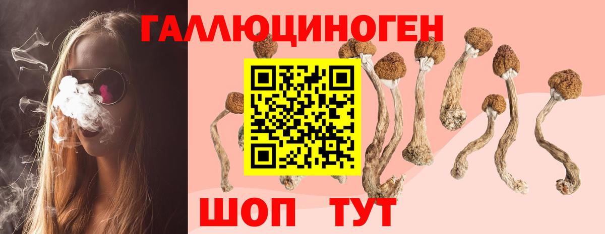 Галлюциногенные грибы Magic Shrooms  Отрадное  Галлюциногенные грибы мухоморы 